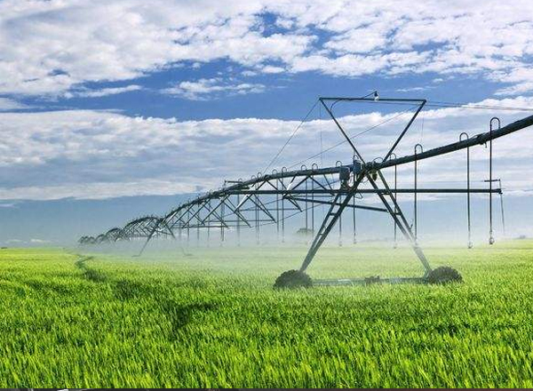 大力提升農(nóng)業(yè)產(chǎn)業(yè)化水平加快農(nóng)業(yè)強省建設