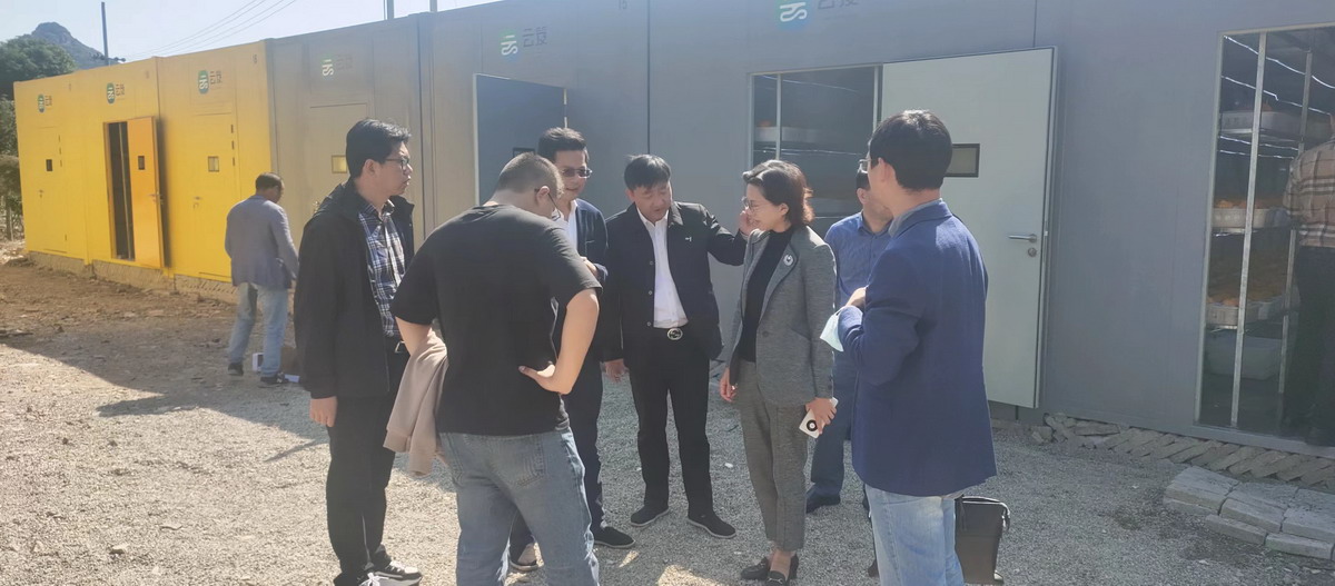 云笈生態∣寧波市農業農村局副局長茅黎泓等領導一行蒞臨云笈5G植物方艙基地現場考察指導