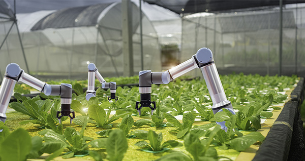 智慧農業工程管理-物聯網硬件產品介紹